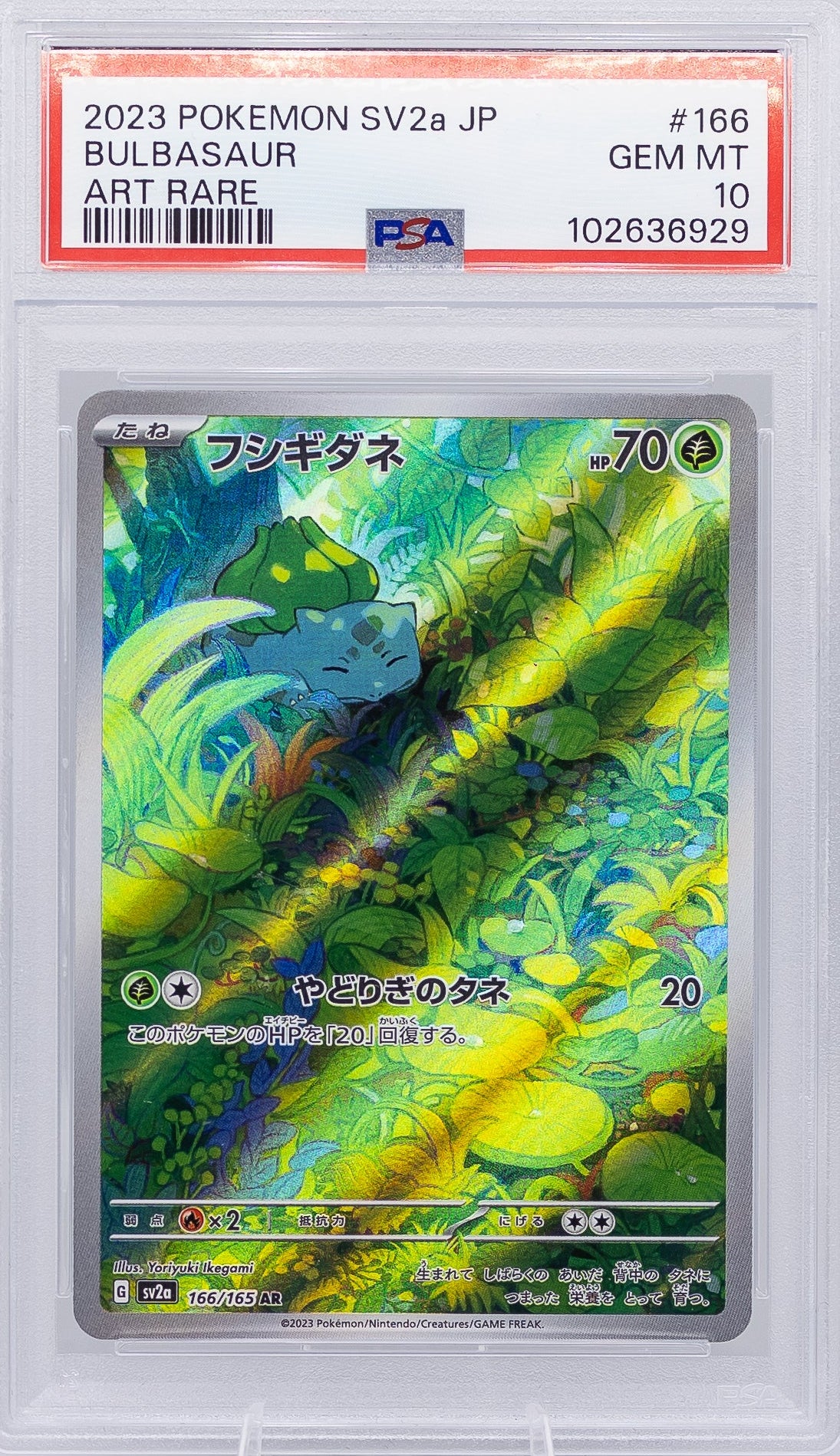 Carta Gradata Pokemon - Bulbasaur SV2a Art Rare