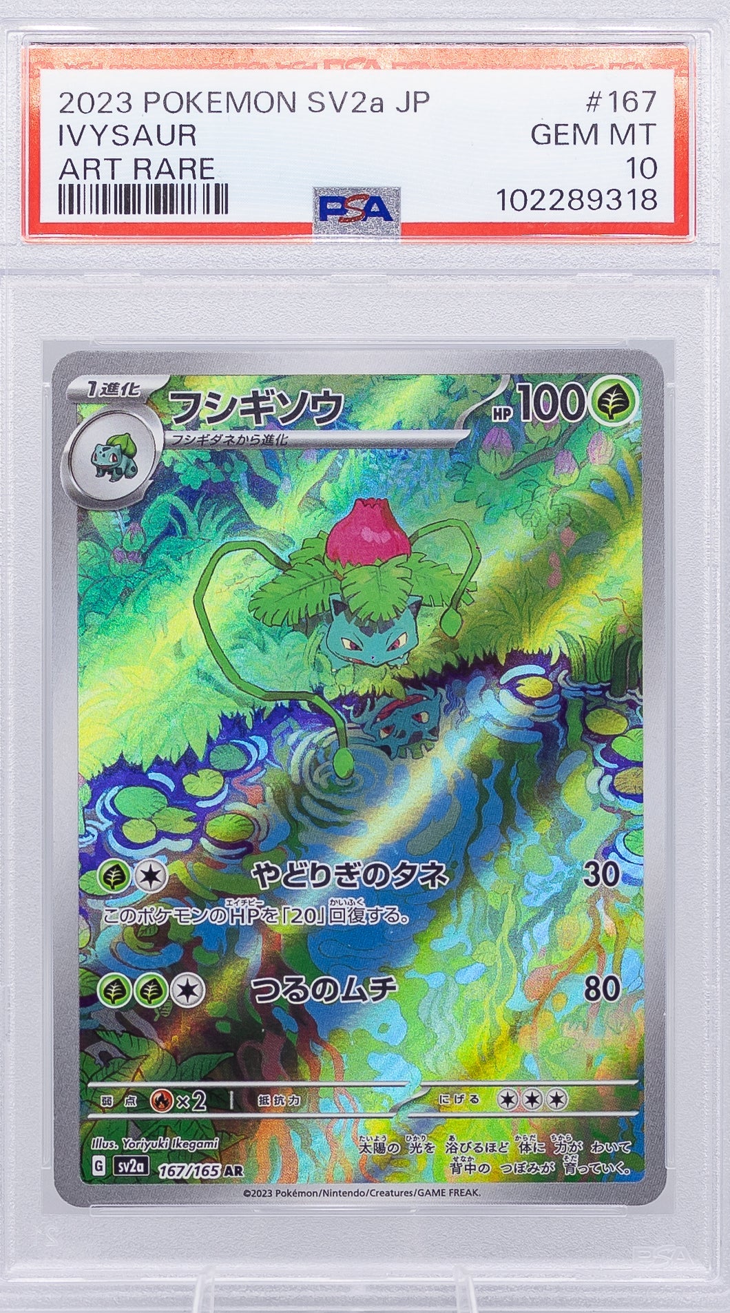Carta Gradata Pokemon - Ivysaur SV2a Art Rare