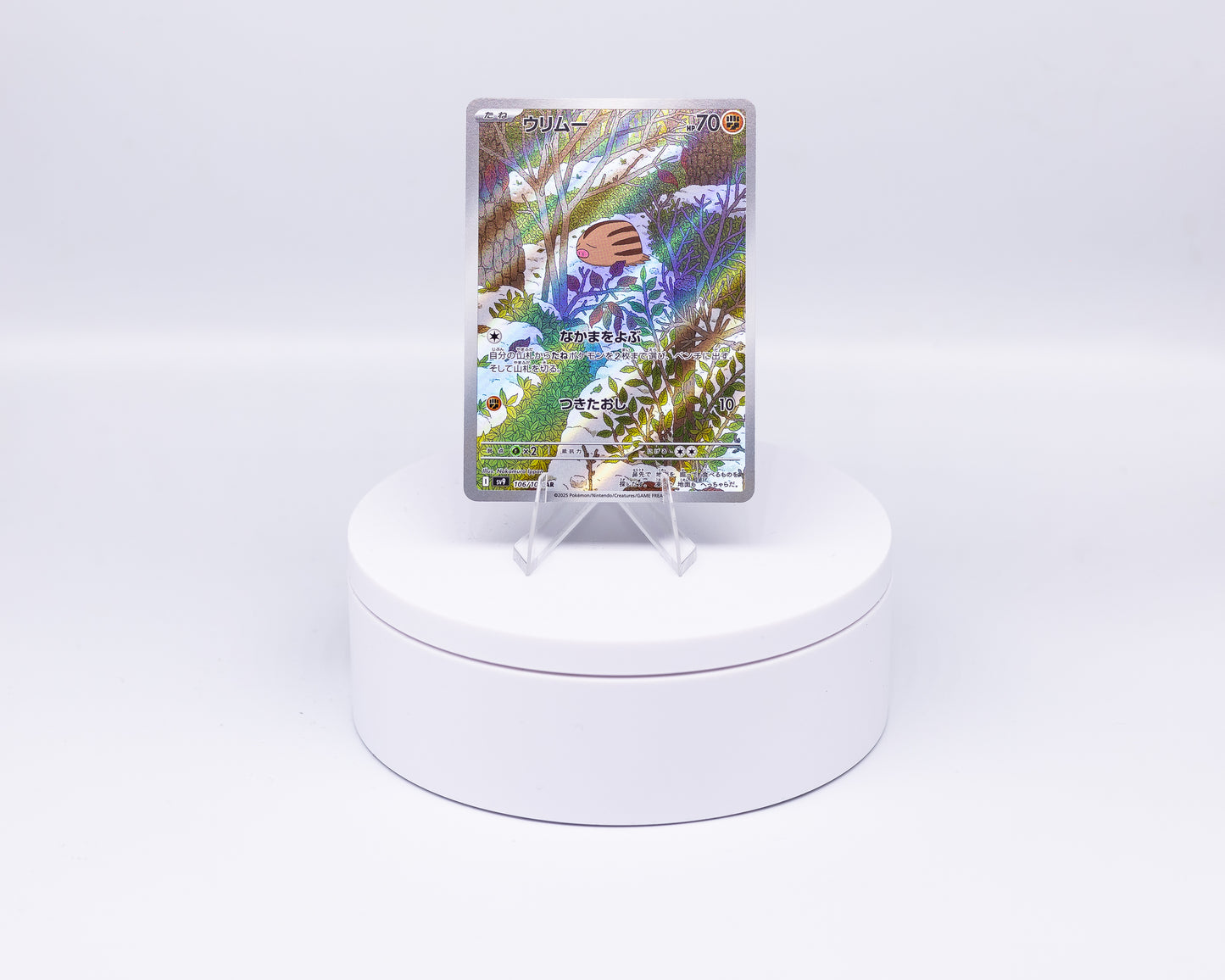 Carta Singola Pokemon - SWINUB Sv9 Art Rare